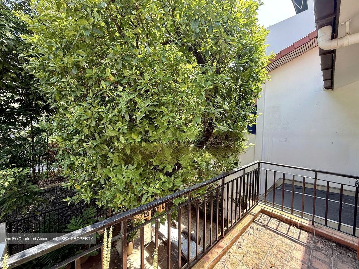 Jalan Mutiara (D10), Terrace #485474921